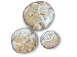 PANERA CONCHA BLANCA