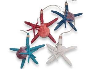 D-12 DECO DOBLE E.DEDOS COCKLE 20cm blco./azul/rojo/turq