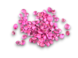 UMBONIUM ROSA NACAR