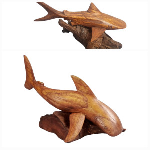 TIBURON BALLENA PARASIT