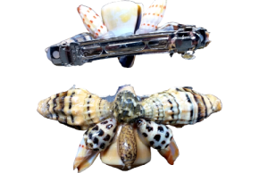 PASADOR CARACOL